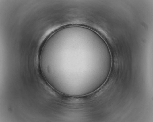 X0000113601270200910091513