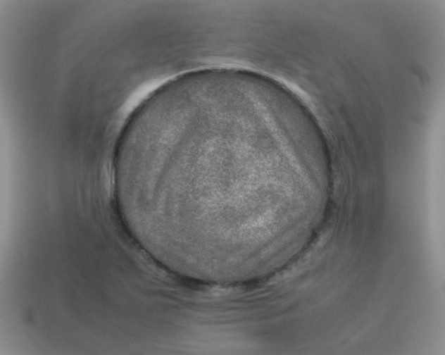 X0000113601271200910091513