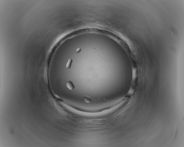 X0000113601272200910091513