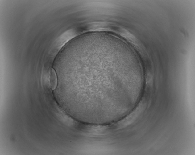 X0000113601273200910091513