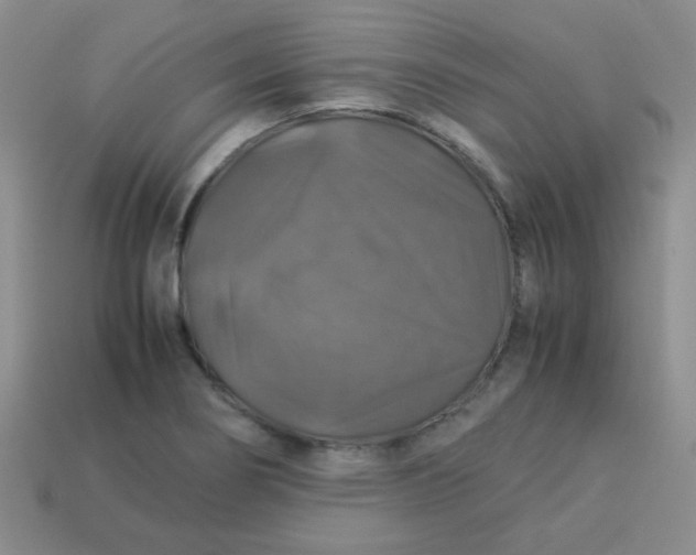 X0000113601274200910091513