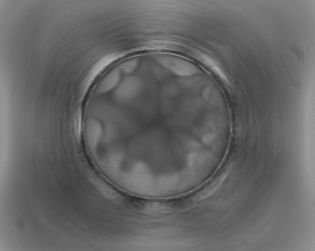 X0000113601275200910091513