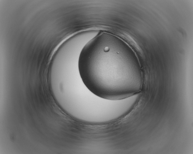 X0000113601276200910091513