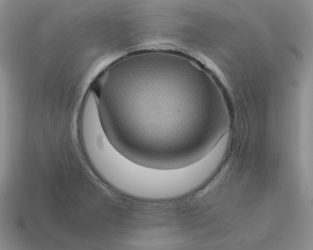 X0000113601277200910091513