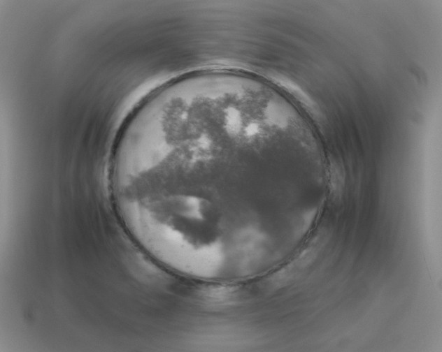 X0000113601278200910091513