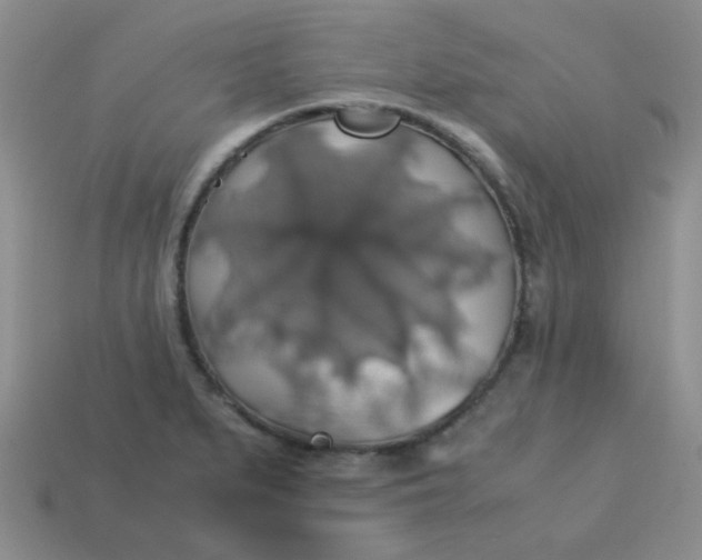 X0000113601279200910091513