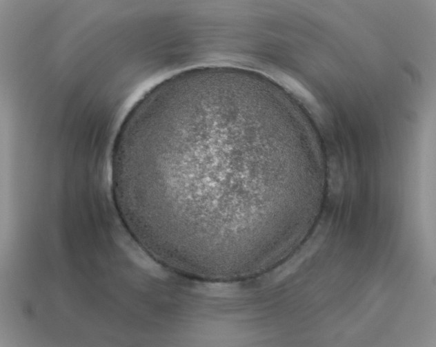 X0000113601280200910091513