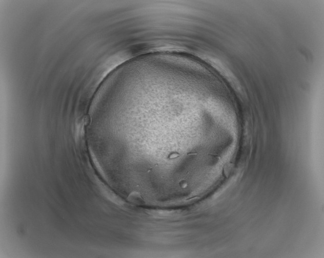 X0000113601281200910091513