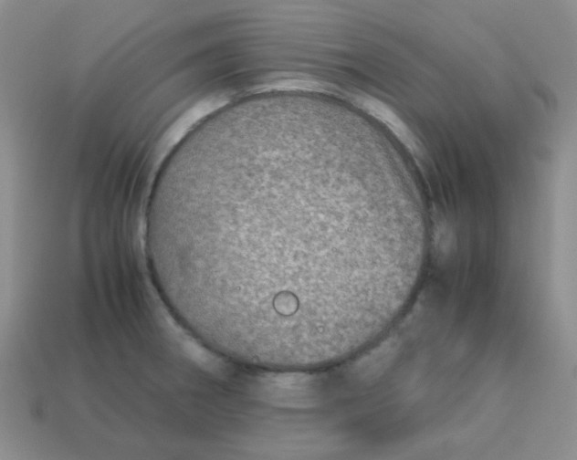 X0000113601282200910091513