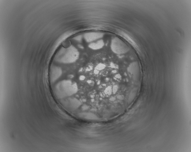 X0000113601283200910091513