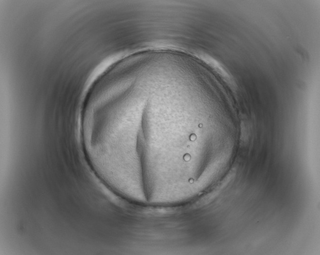 X0000113601286200910091513