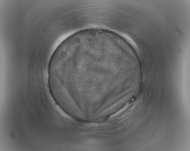 X0000113601287200910091513