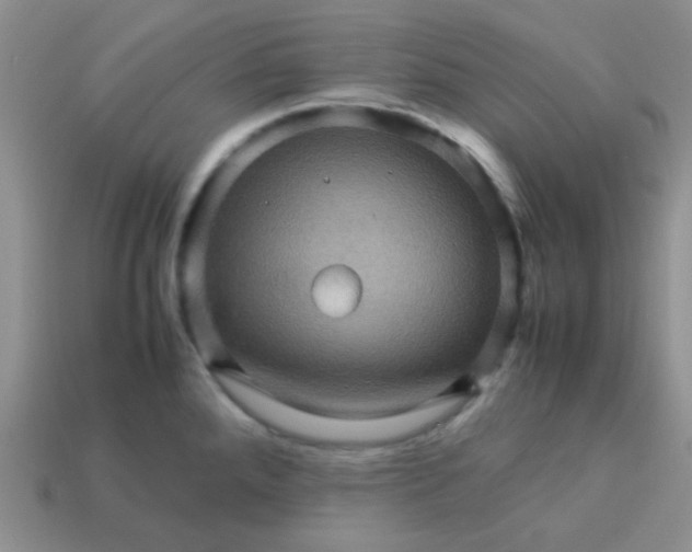 X0000113601288200910091513