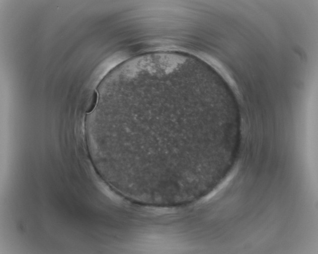 X0000113601289200910091513