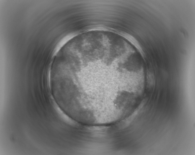 X0000113601290200910091512