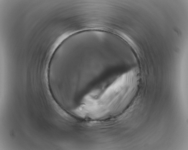 X0000113601291200910091512