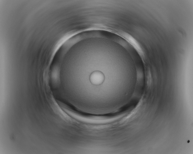 X0000113601292200910091512