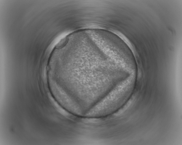 X0000113601293200910091512