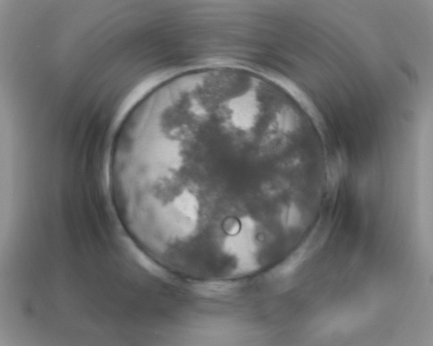 X0000113601294200910091512