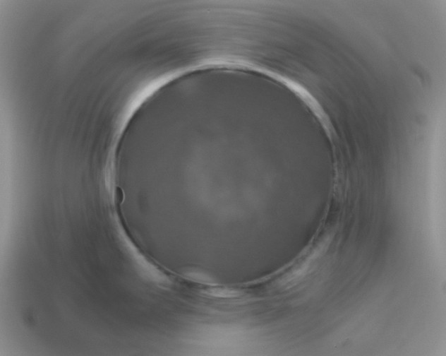 X0000113601295200910091512