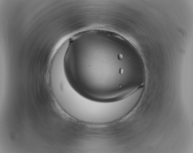 X0000113601296200910091512