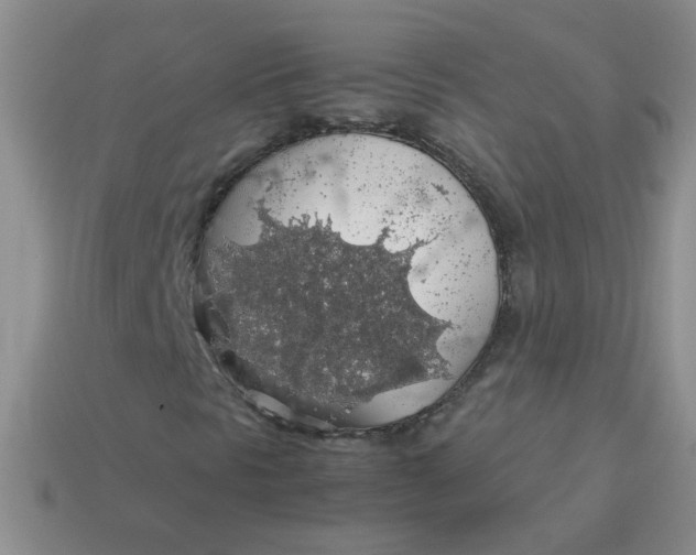 X0000113601297200910091512