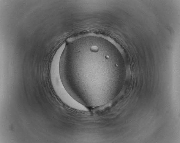 X0000113601298200910091512