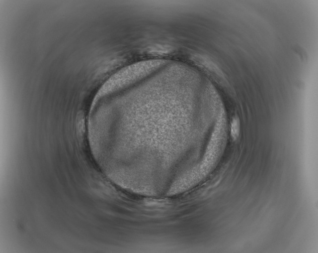 X0000113601299200910091512