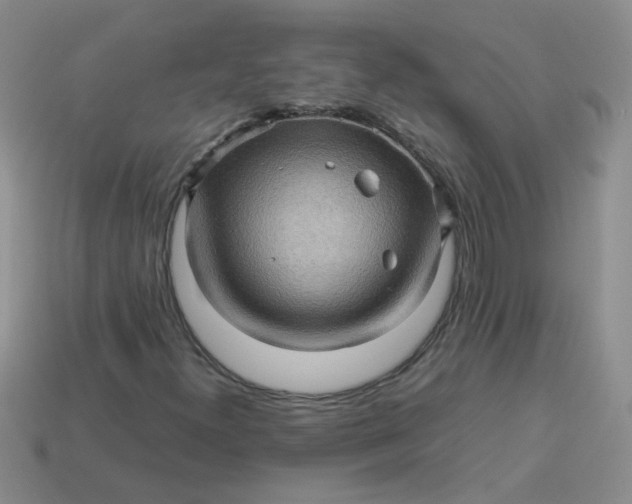 X0000113601300200910091512