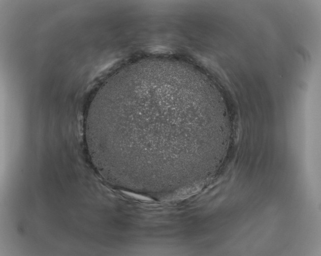 X0000113601301200910091512