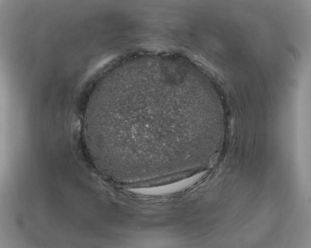 X0000113601302200910091512