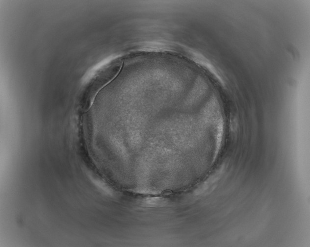 X0000113601304200910091512