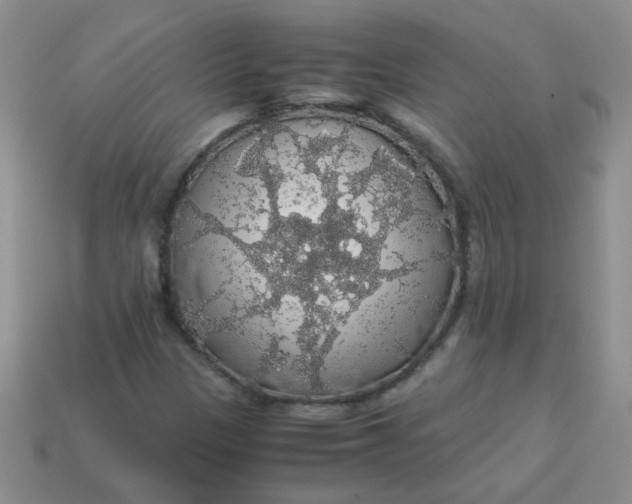 X0000113601305200910091512