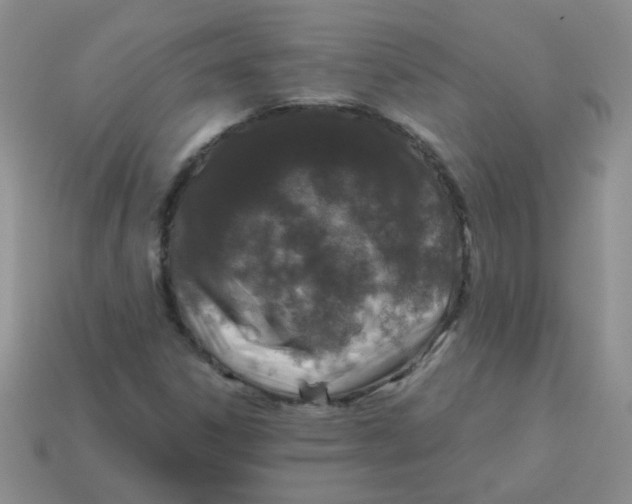 X0000113601306200910091512