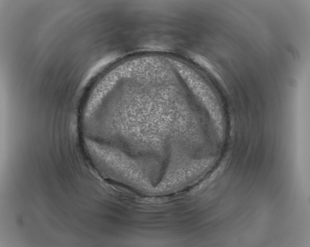 X0000113601307200910091512