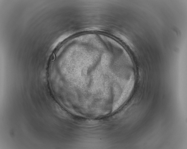 X0000113601308200910091512