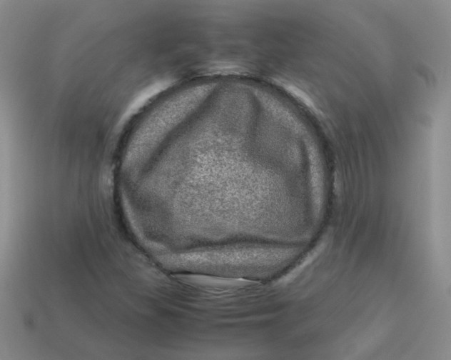 X0000113601309200910091512