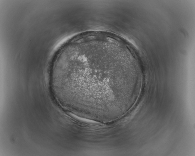 X0000113601311200910091512