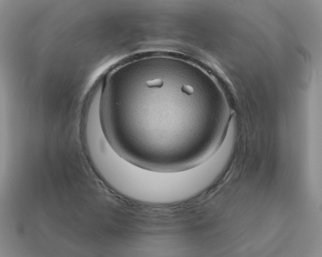 X0000113601312200910091512