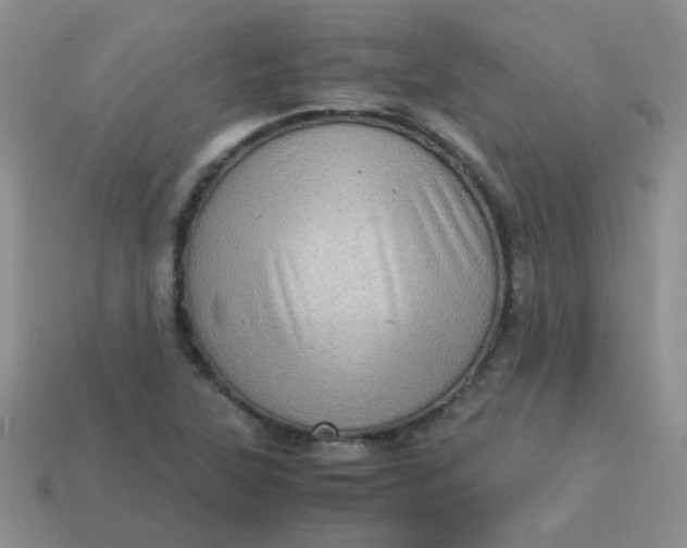 X0000113601315200910091512