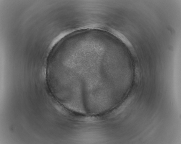 X0000113601316200910091512