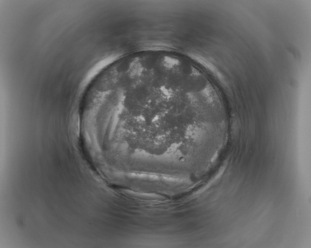 X0000113601317200910091512