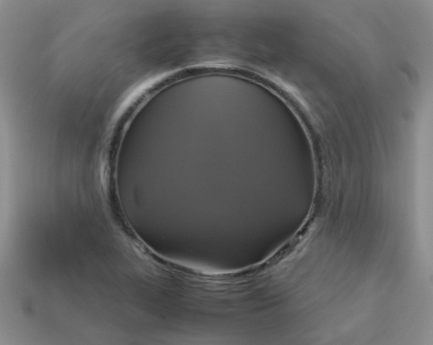 X0000113601319200910091512