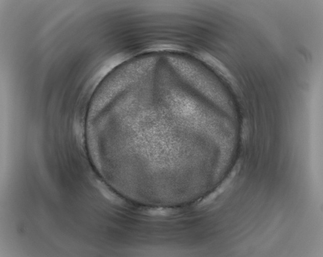 X0000113601321200910091512