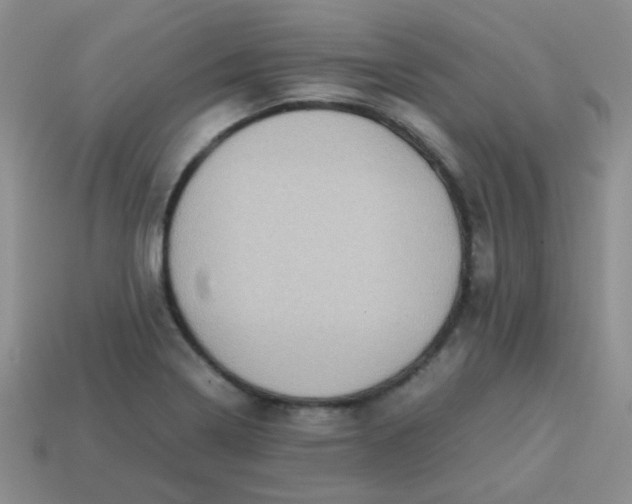 X0000113601322200910091512