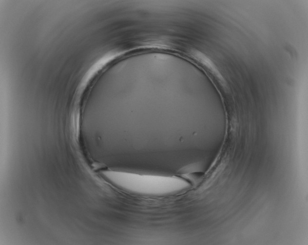 X0000113601323200910091512