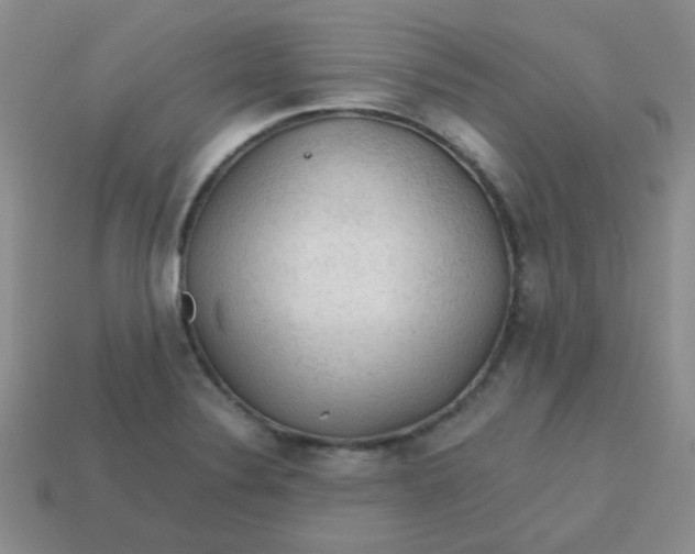 X0000113601324200910091512