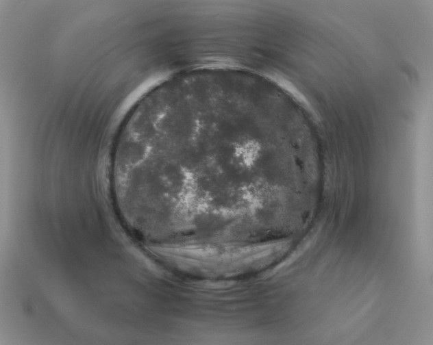 X0000113601325200910091512