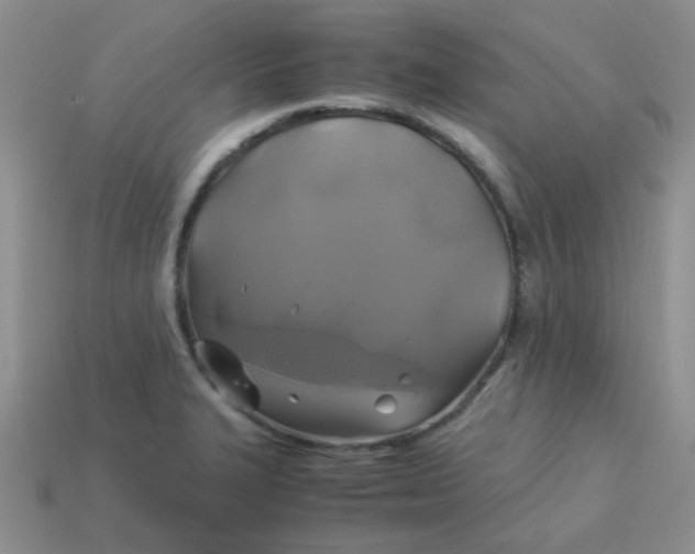 X0000113601327200910091512