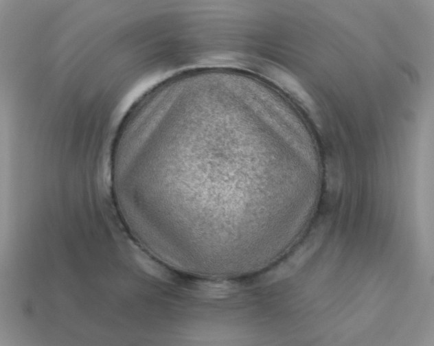 X0000113601328200910091512